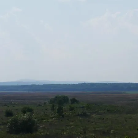 Dream Island דירה סאני ביץ'